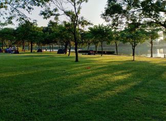 Check in trong không gian xanh mướt của công viên Yên Sở Hà Nội