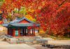 Check in cung điện Changdeok - địa điểm du lịch Hàn Quốc nổi tiếng