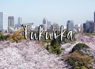 Trọn bộ kinh nghiệm du lịch thành phố Fukuoka nổi tiếng Nhật Bản Trọn bộ kinh nghiệm du lịch thành phố Fukuoka nổi tiếng Nhật Bản