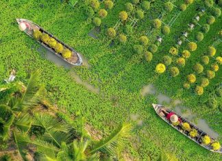 Review kinh nghiệm đi tour du lịch Đồng Tháp 1 ngày từ A – Z Review kinh nghiệm đi tour du lịch Đồng Tháp 1 ngày từ A - Z