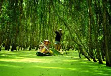 Du lịch miền Tây hấp dẫn 2025 du lịch mien tay