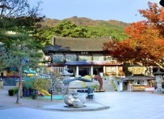 Đắm chìm trước vẻ đẹp cổ kính của đền Donghwasa – Hàn Quốc Đắm chìm trước vẻ đẹp cổ kính của đền Donghwasa - Hàn Quốc