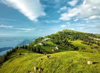 Chiêm ngưỡng toàn cảnh vẻ đẹp núi Rigi khi đi tour du lịch Thuỵ Sĩ